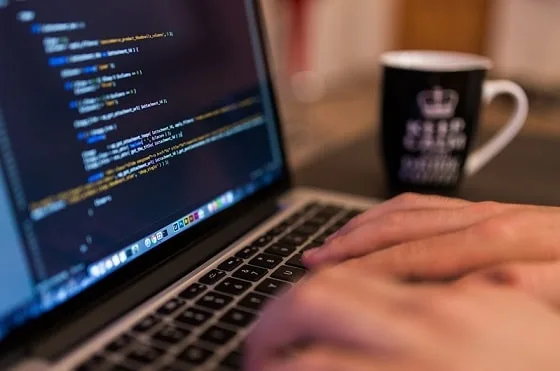 Web development