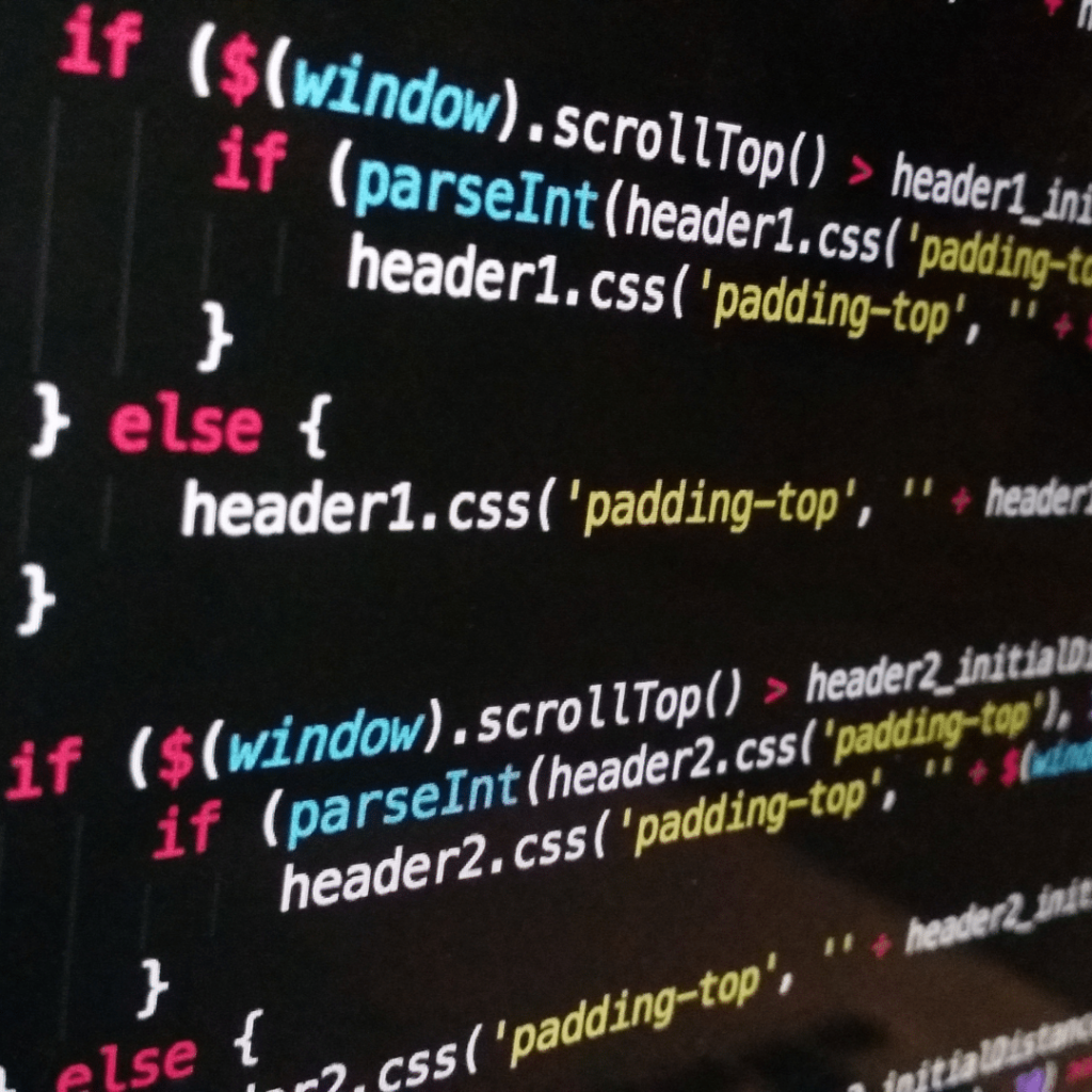 Programmazione e sviluppo IT