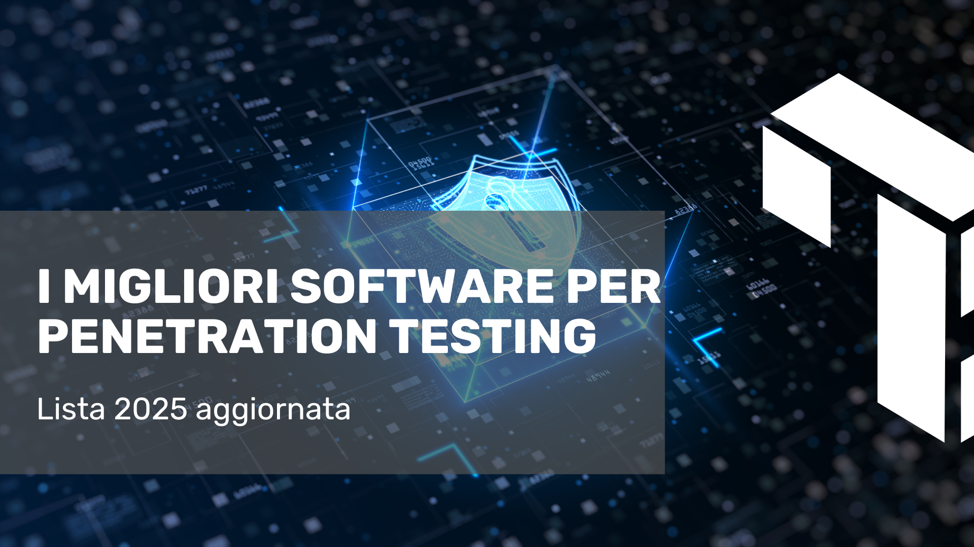 I migliori software per Penetration Testing nel 2025